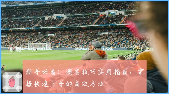 新手必看:澳客技巧实用指南,掌握快速上手的高效方法